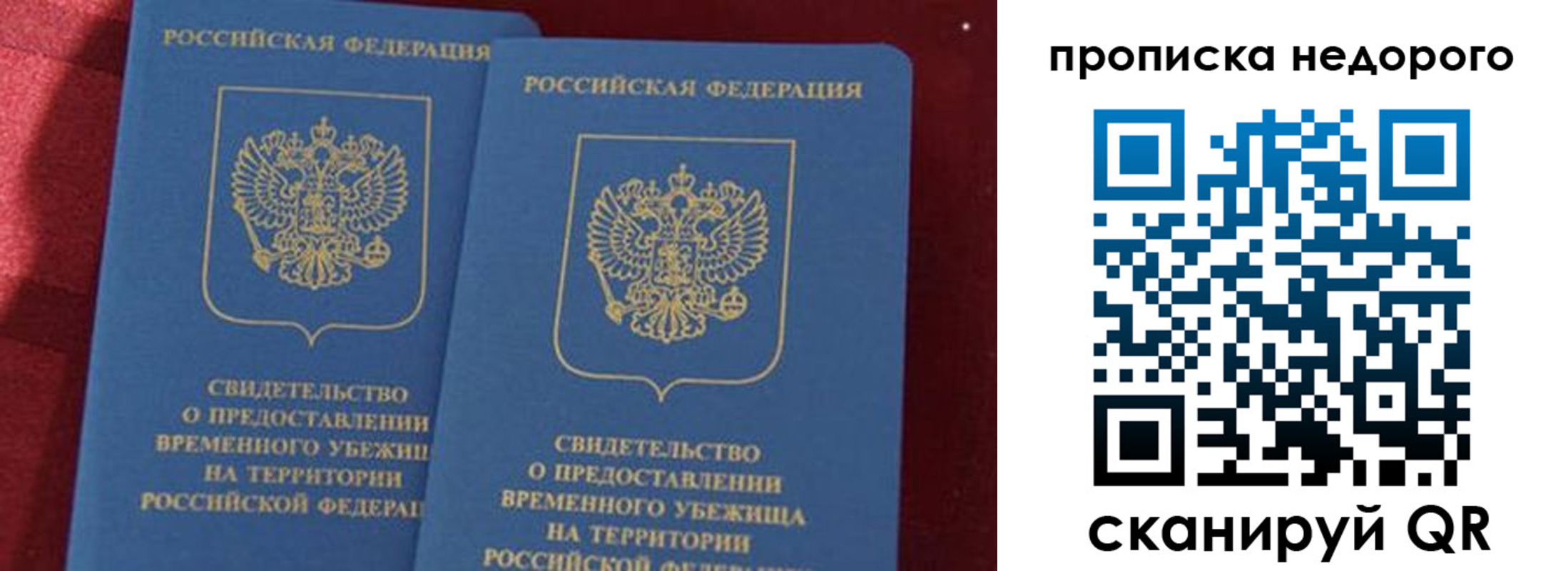 прописка гарантия в Новотроицке